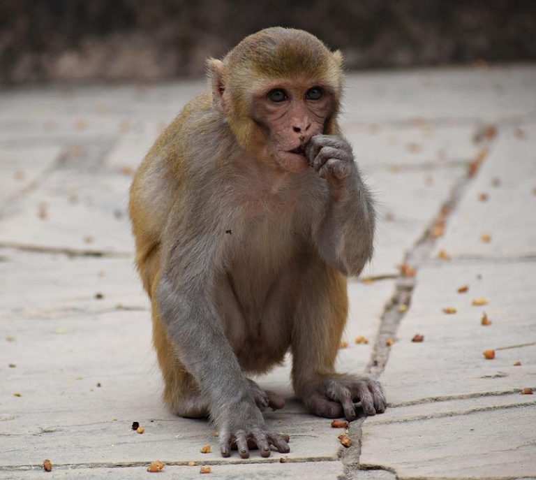 10 Proven Strategies to Tame Emotional Eating Today