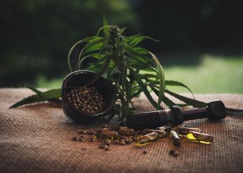 10 Reasons Moringa Superfood Will Change Your Health Today!