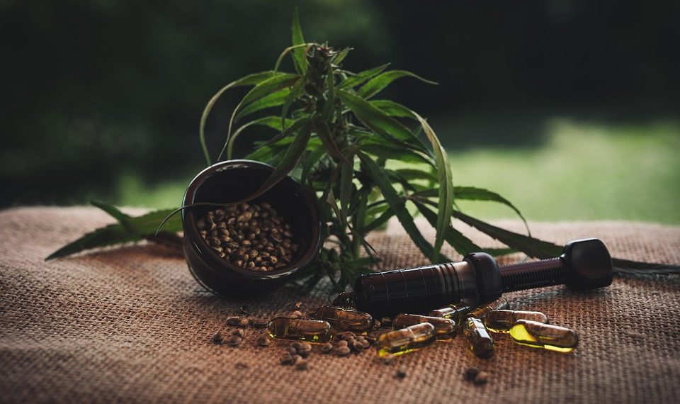 10 Reasons Moringa Superfood Will Change Your Health Today!