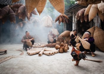 10 Reasons Moringa is a Game-Changer for Women's Health