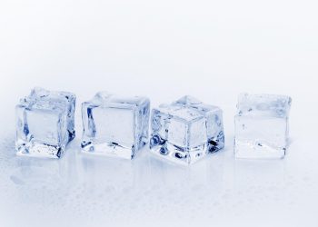 10 Reasons Pure Moringa Will Transform Your Health Today