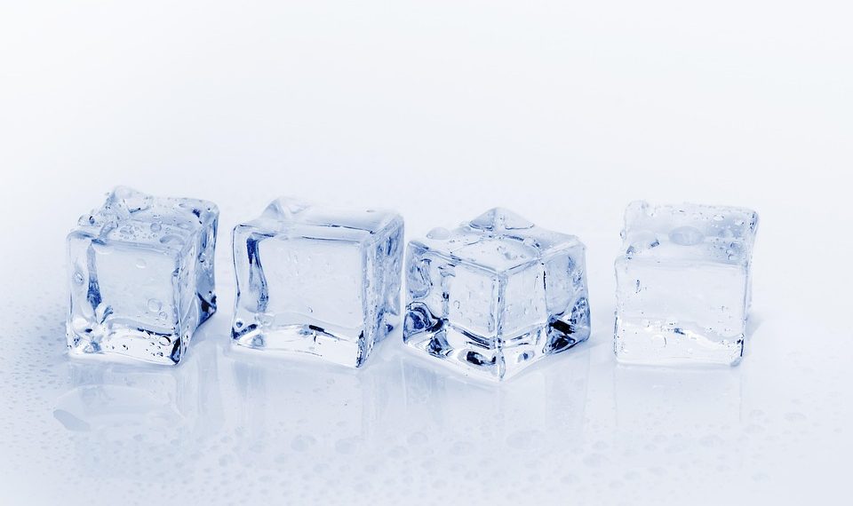 10 Reasons Pure Moringa Will Transform Your Health Today