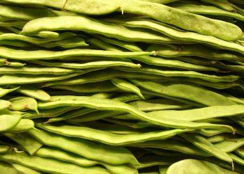 10 Reasons to Embrace Plant-Based Nutrition Today