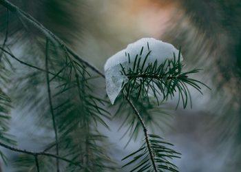 10 Secrets to Achieve Effortless Natural Beauty