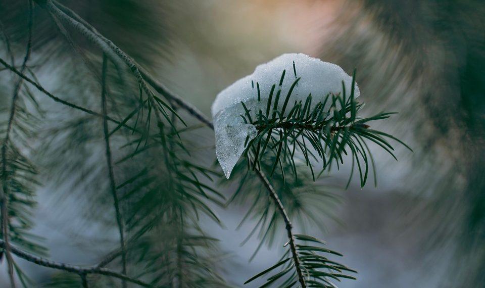 10 Secrets to Achieve Effortless Natural Beauty