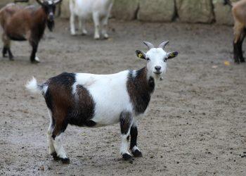 10 Secrets to Achieve Total Body Wellness Today