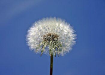 10 Secrets to Enhance Your Natural Beauty Today!