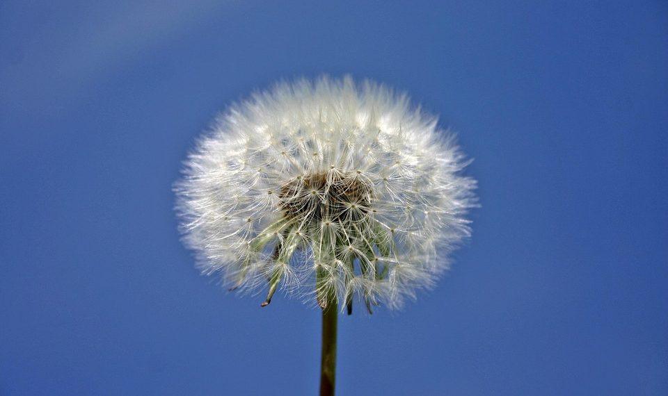 10 Secrets to Enhance Your Natural Beauty Today!