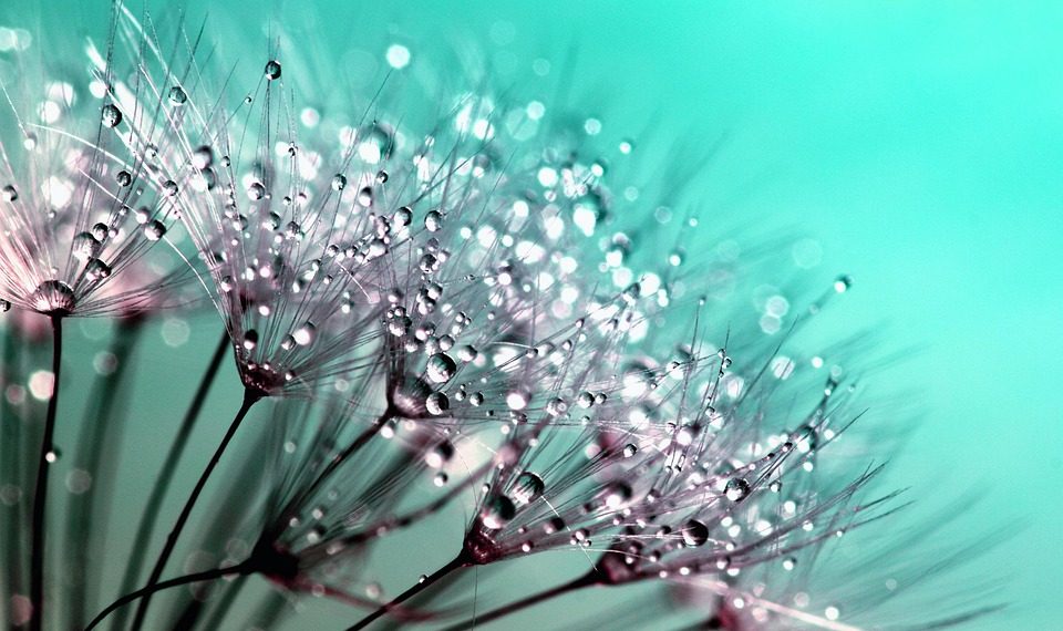 10 Secrets to Unlock Your Natural Glow Today