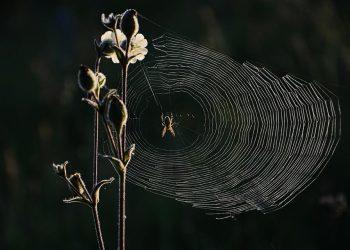 10 Secrets to Unlocking the Fountain of Youth