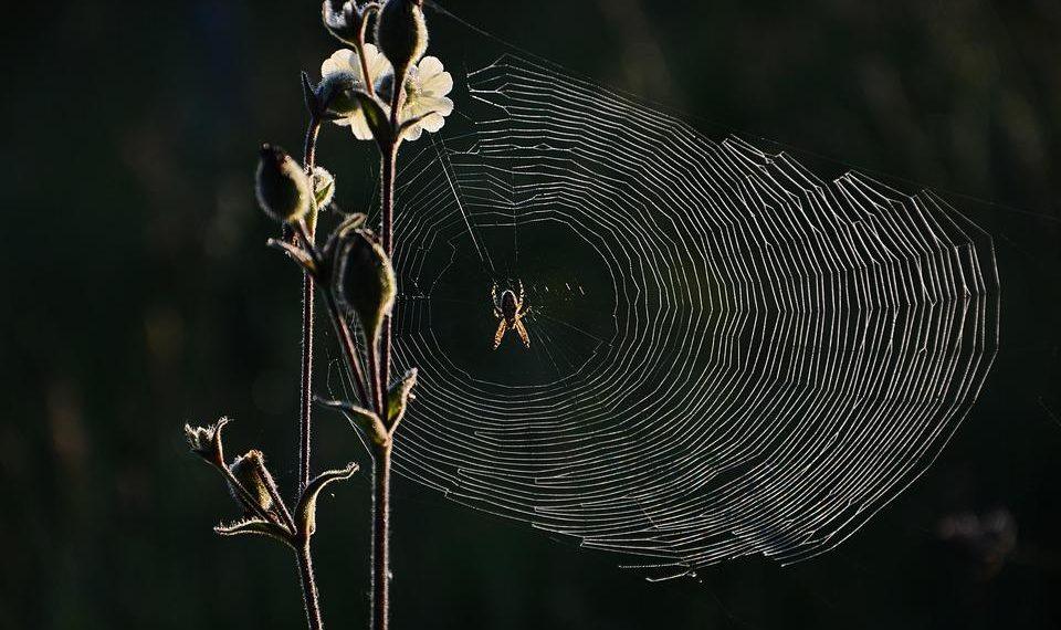 10 Secrets to Unlocking the Fountain of Youth