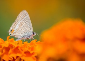 10 Secrets to a Thriving Healthy Lifestyle Today!