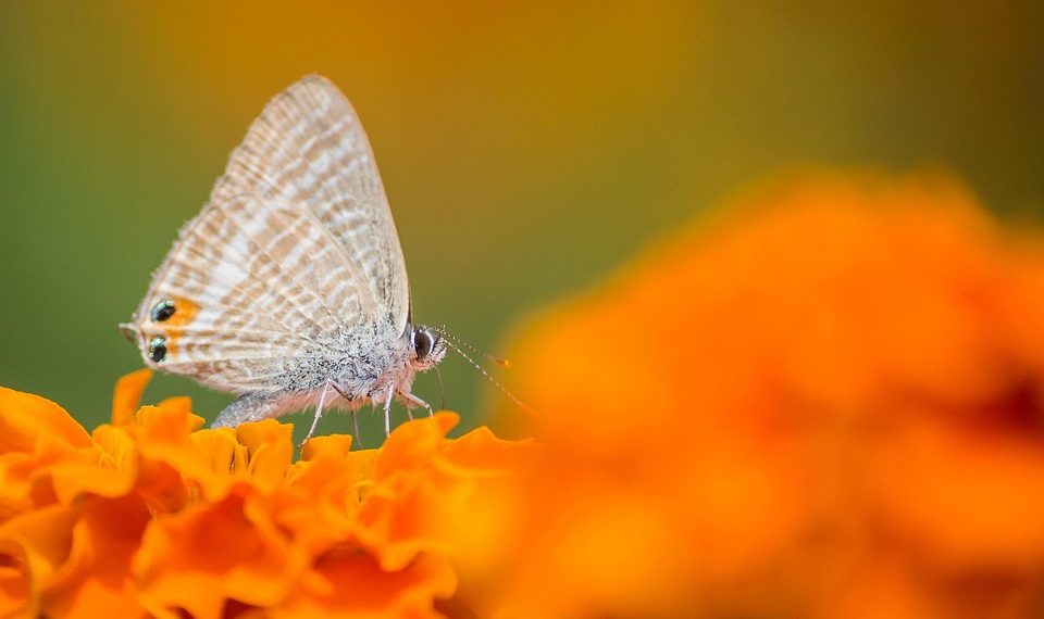 10 Secrets to a Thriving Healthy Lifestyle Today!