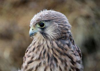 10 Simple Habits for Stress-Free Living Daily