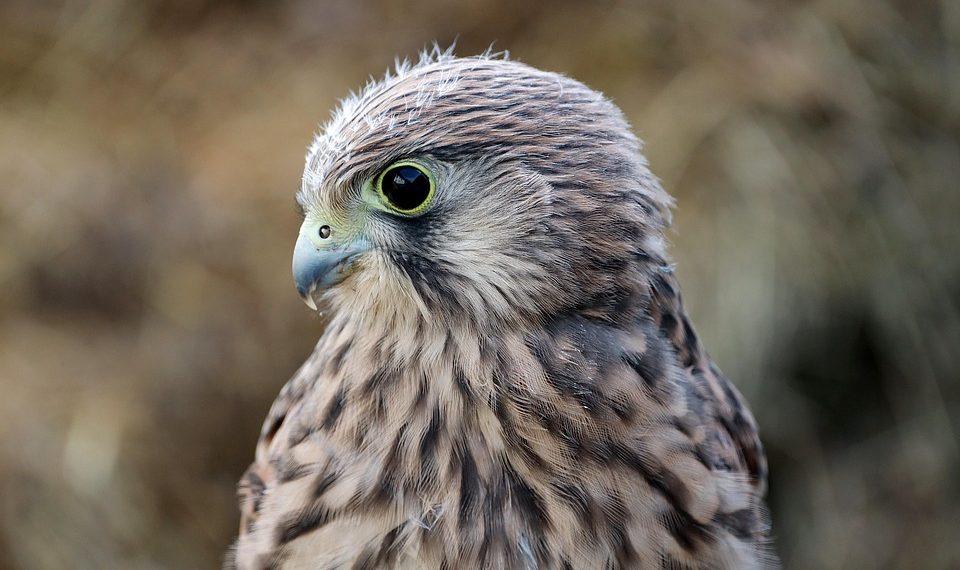 10 Simple Habits for Stress-Free Living Daily