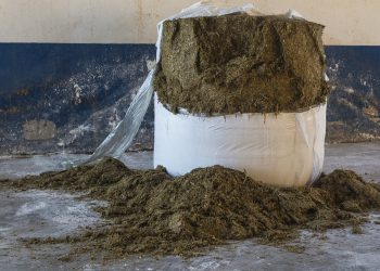 10 Simple Habits for Total Wellness Every Day