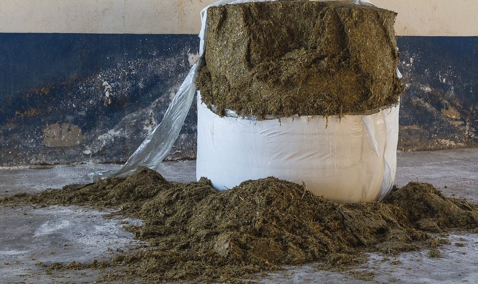 10 Simple Habits for Total Wellness Every Day