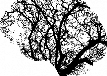 10 Simple Habits for a Healthier Brain Today