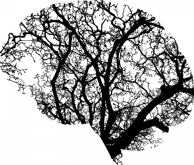 10 Simple Habits for a Healthier Brain Today