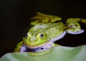 10 Simple Habits for a Stress-Free Life Today