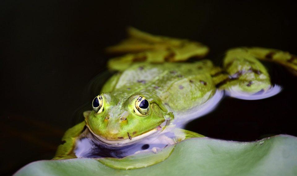 10 Simple Habits for a Stress-Free Life Today