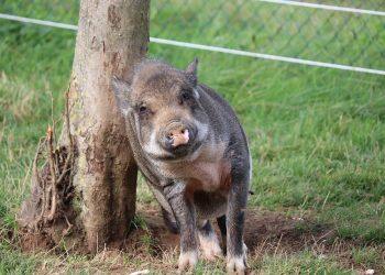 10 Simple Habits to Boost Your Mood Daily