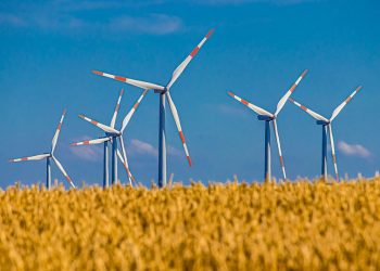 10 Simple Steps to Achieve Sustainable Health Today