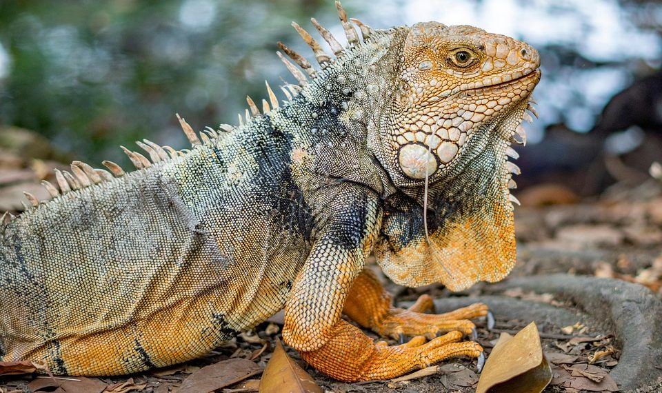 10 Simple Steps to Embrace Mindful Living Today