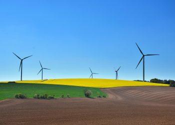 10 Simple Steps to a Greener, Healthier You