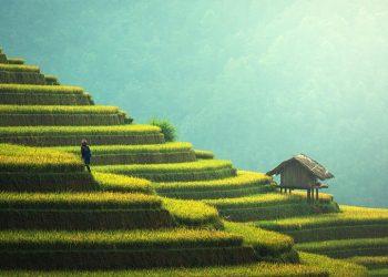 10 Simple Steps to a More Sustainable Health Routine