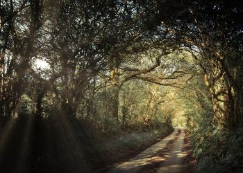 10 Simple Wellness Goals for a Healthier You