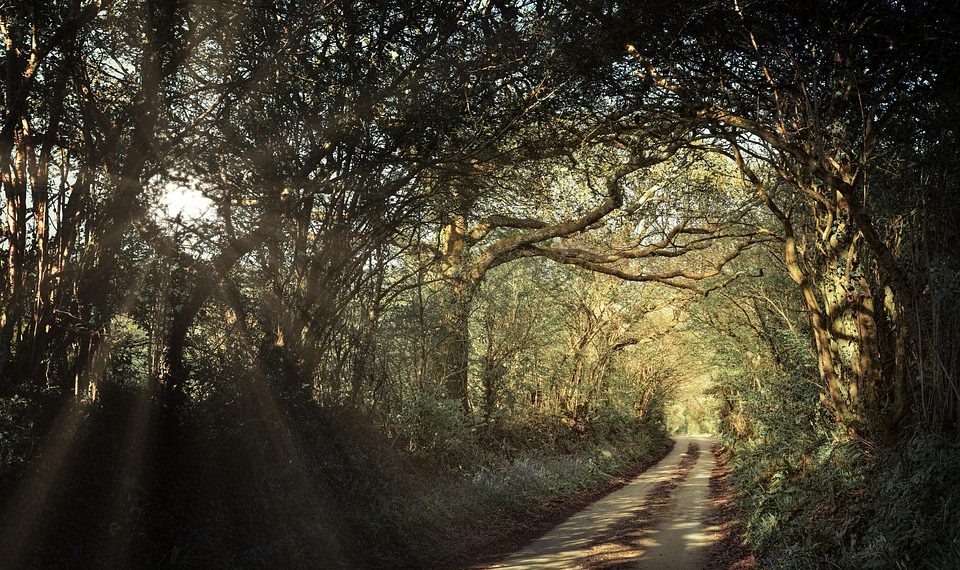 10 Simple Wellness Goals for a Healthier You