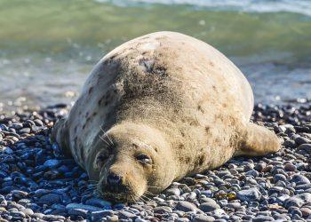 10 Sleep Tips for a Restful Night Every Time