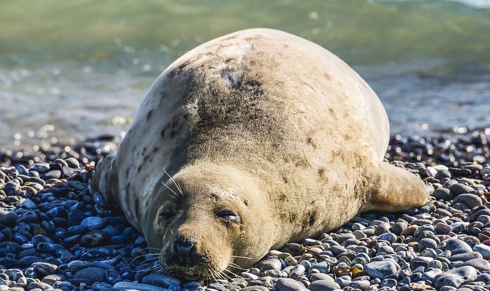 10 Sleep Tips for a Restful Night Every Time