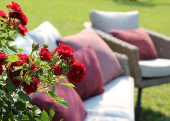 10 Stress-Free Foods to Boost Your Mood Instantly