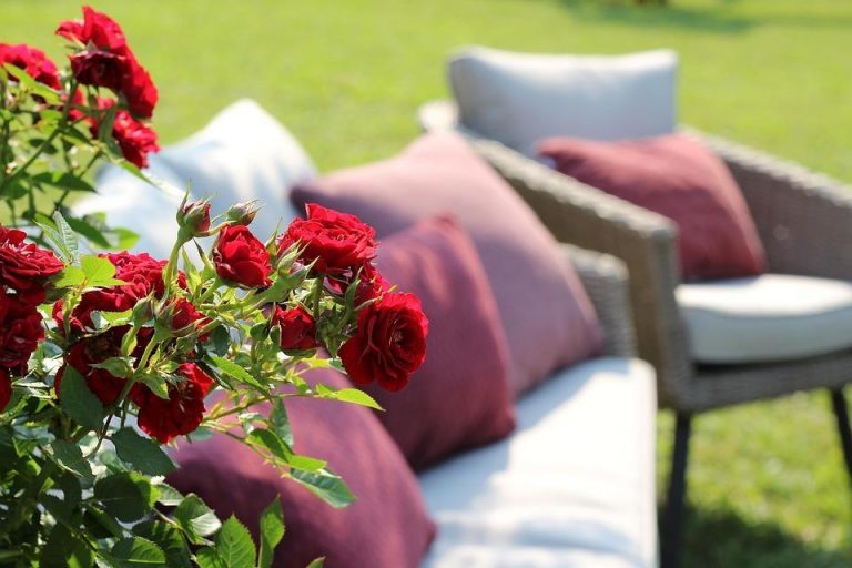 10 Stress-Free Foods to Boost Your Mood Instantly