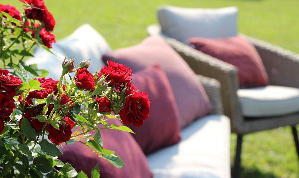 10 Stress-Free Foods to Boost Your Mood Instantly