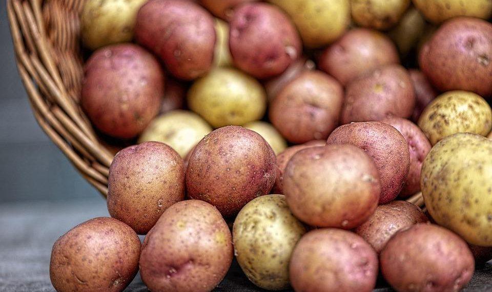 10 Superfoods That Heal: Nature’s Best Remedies