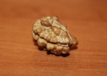 10 Superfoods That Supercharge Your Brain Power