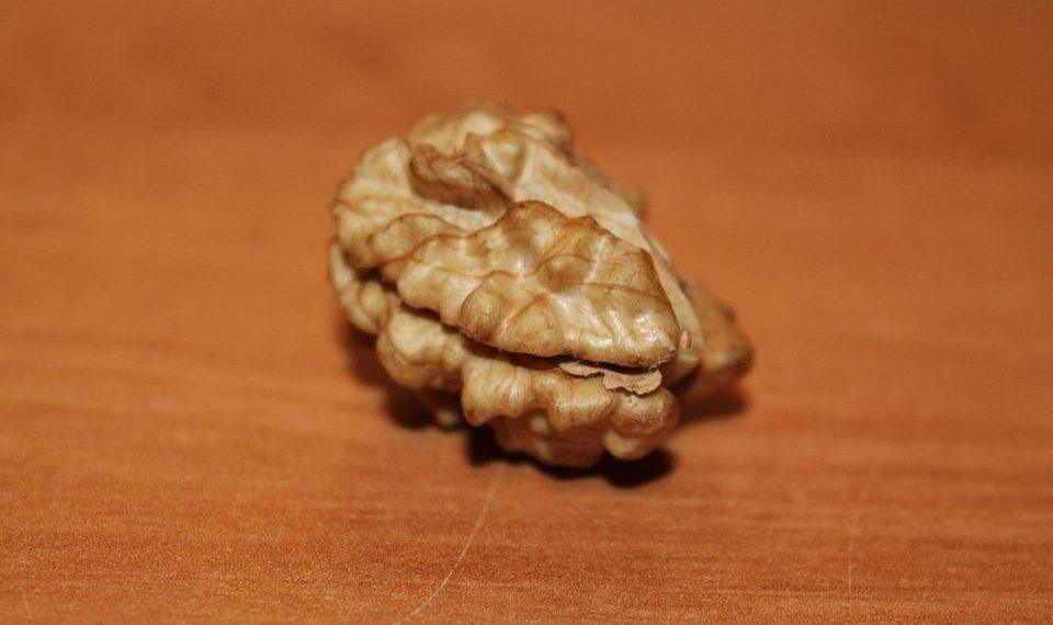 10 Superfoods That Supercharge Your Brain Power