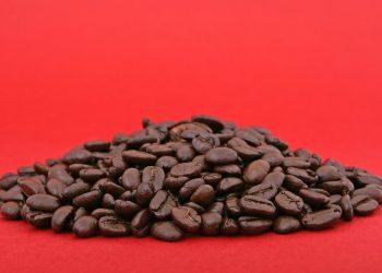 10 Superfoods That Will Recharge Your Energy Levels