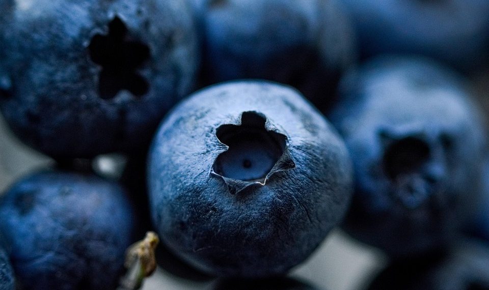 10 Superfoods You Need for Ultimate Health Boost