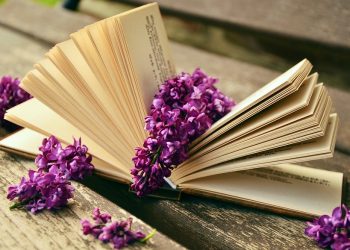 10 Superfoods for Ultimate Wellness You Must Try!