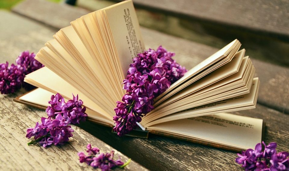 10 Superfoods for Ultimate Wellness You Must Try!