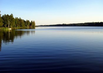 10 Superfoods to Boost Your Mental Clarity Today!