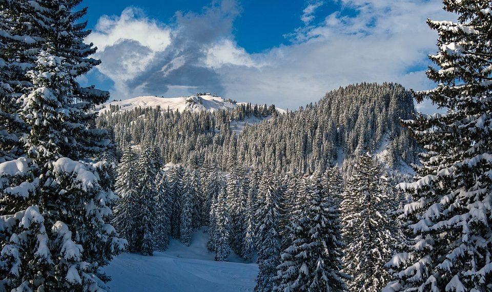 10 Surprising Benefits of Collagen Powder You Need to Know