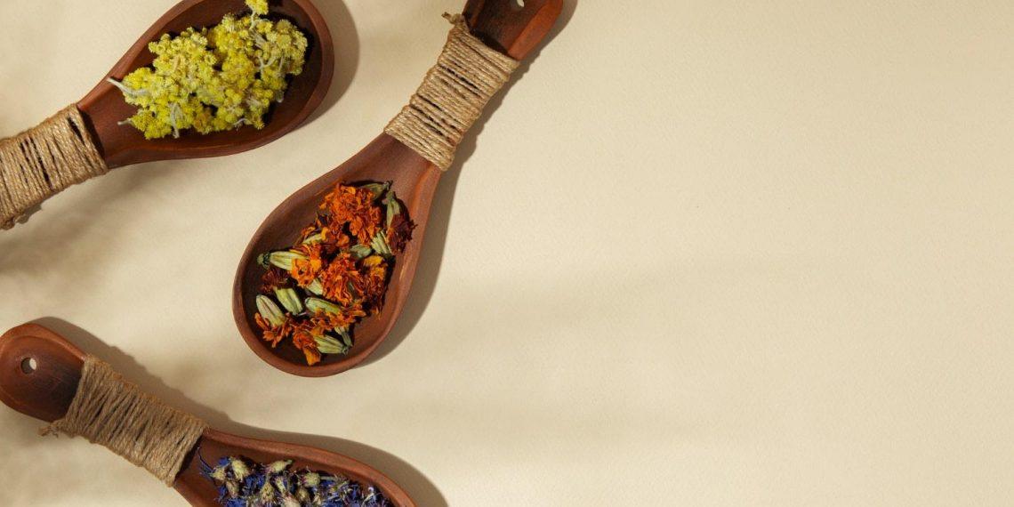 10 Surprising Benefits of Elderberry You Need to Know