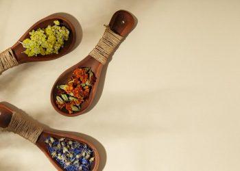 10 Surprising Benefits of Elderberry You Need to Know