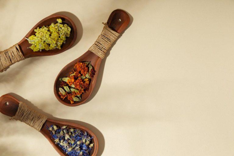 10 Surprising Benefits of Elderberry You Need to Know