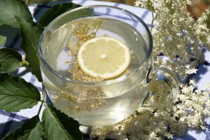 10 Surprising Benefits of Moringa Extract You Need to Know